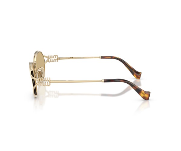 Gözüm Optik Güneş Gözlüğü, Lens