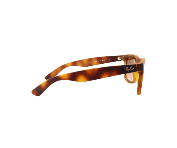 Gözüm Optik Güneş Gözlüğü, Lens